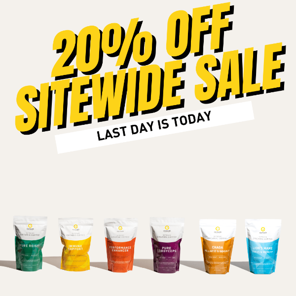 Last Day for 20% Off Sitewide Memorial Day